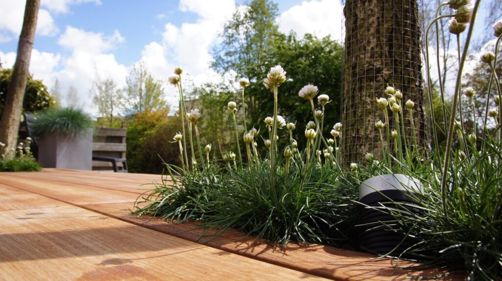 plaatsen-hardhouten-vlonder-alphen-aan-den-rijn-3